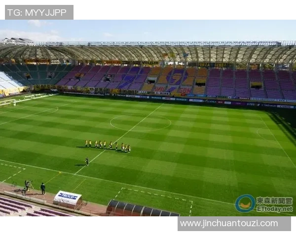 足球场上的球星行为解析：从场内表现到场外风波的深度剖析